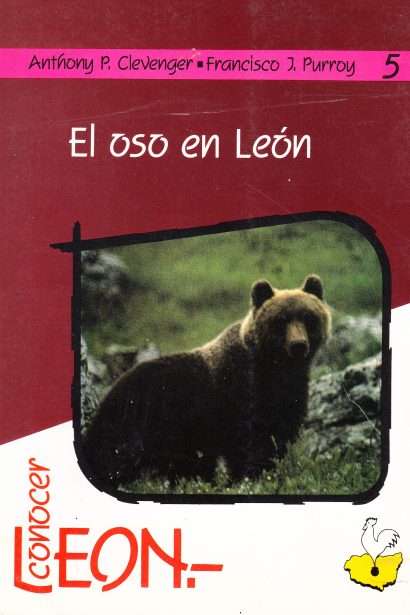 El oso en León
