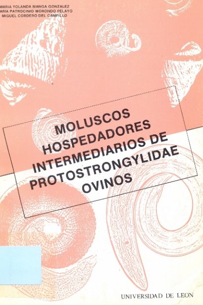 Moluscos hospedadores intermediarios de protostrongylidae ovinos.