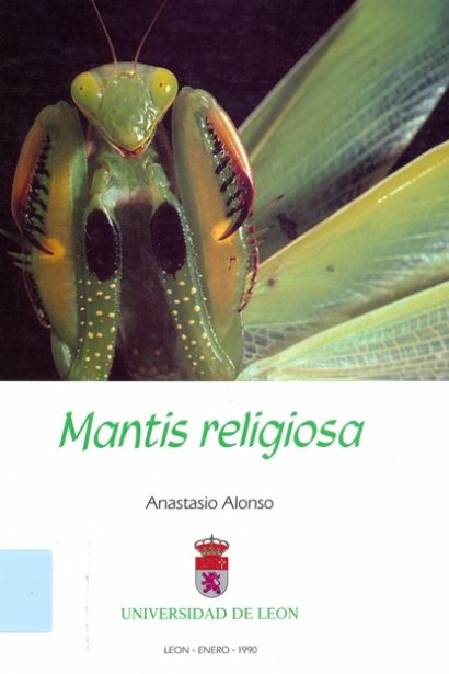 Mantis religiosa