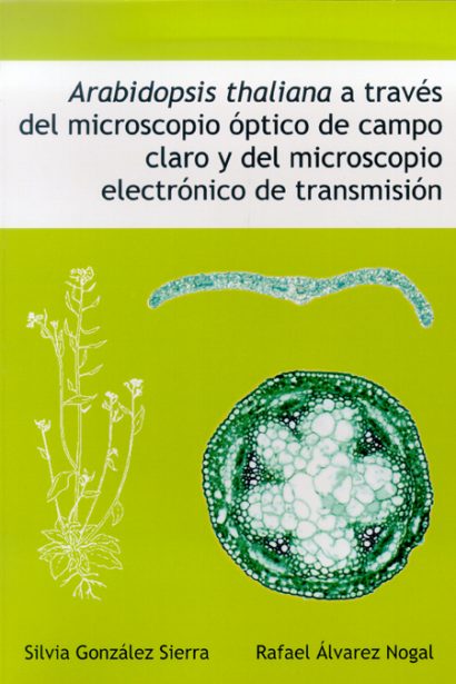 Arabidopsis thaliana  a través del microscopio óptico
